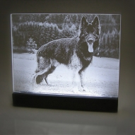 LED Display "Walter"