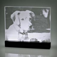 LED Display "Hund"